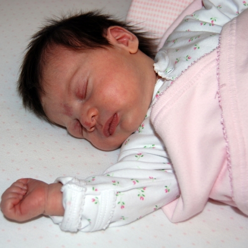 SaraRose/2007/01/mommyandsara/Images/