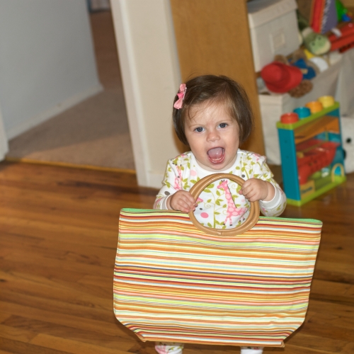 Peanut gets ready to go shopping!