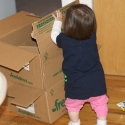 Unpacking the groceries