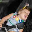 After a long day... exhaustion takes over the Nut