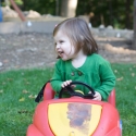 Peanut drives the lawn...