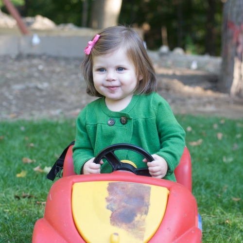 Peanut drives the lawn...