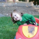 Peanut drives the lawn...