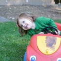 Peanut drives the lawn...