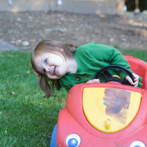 Peanut drives the lawn...