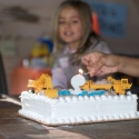 Birthday boy blows out the candles