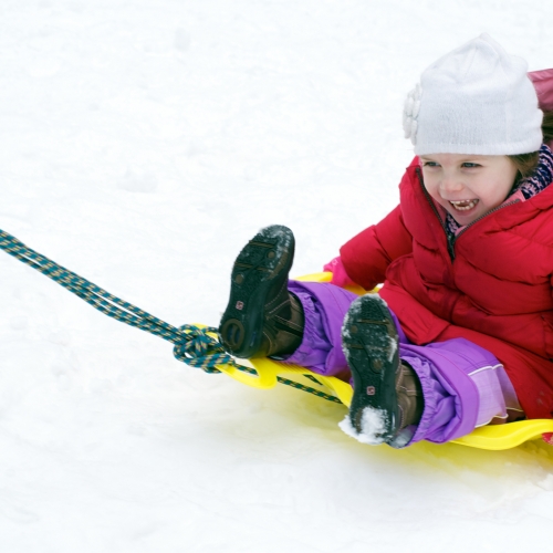 Pulling the sled