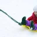 Pulling the sled