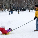 Pulling the sled