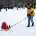 Pulling the sled