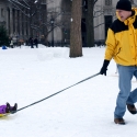 Pulling the sled