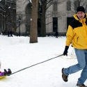 Pulling the sled