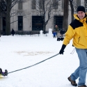 Pulling the sled