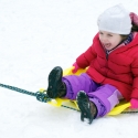 Pulling the sled