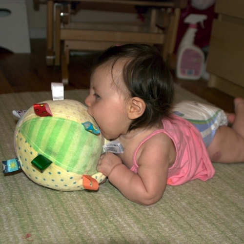 She loves playing with her tag-ball!